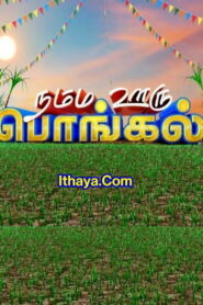 Namma Ooru Pongal -15-01-2023 Zee Tamil TV Show