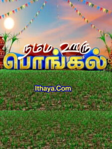 Namma Ooru Pongal -15-01-2023 Zee Tamil TV Show