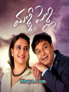 Malli Pelli (2023 HD) Telugu Full Movie Watch Online Free