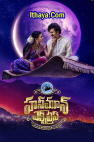 Honeymoon Express (2024) DVDScr Telugu Full Movie Watch Online Free
