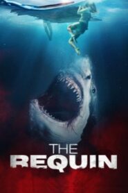 The Requin (2022 HD) [Tamil + Telugu + Hindi + Eng] Dubbed Full Movie Watch Online Free