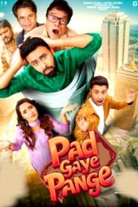 Pad Gaye Pange (2024 ) Hindi Full Movie Watch Online Free