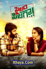 Pailam Pilaga (2024 HD) Telugu Full Movie Watch Online Free