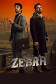 Zebra (2024 HD) Telugu Full Movie Watch Online Free