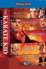 The Karate Kid Collection (1984-2010 HD) [Tamil + Telugu + Hindi + Eng] BDRip Watch Online