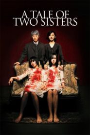 A Tale of Two Sisters (2024 HD) [Tamil + Telugu + Hindi + Kor] Full Movie Watch Online Free