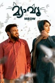 Meow (2025 HD) [Tamil + Malayalam] Full Movie Watch Online Free